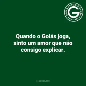 Quando o Goiás joga, sinto um amor que não consigo explicar.