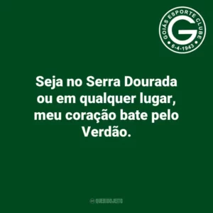Seja no Serra Dourada ou em qualquer lugar, meu coração bate pelo Verdão.