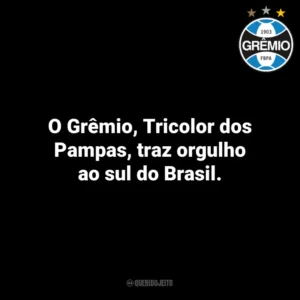 O Grêmio, Tricolor dos Pampas, traz orgulho ao sul do Brasil.