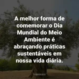A melhor forma de comemorar o Dia Mundial do Meio Ambiente é abraçando práticas sustentáveis em nossa vida diária.