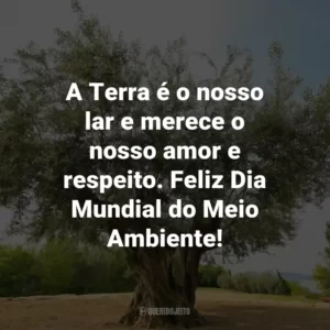 A Terra é o nosso lar e merece o nosso amor e respeito. Feliz Dia Mundial do Meio Ambiente!