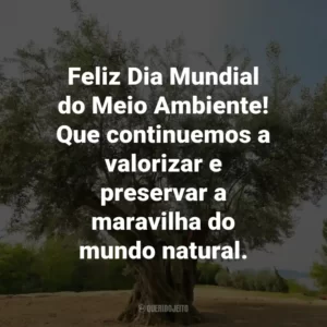 Feliz Dia Mundial do Meio Ambiente! Que continuemos a valorizar e preservar a maravilha do mundo natural.