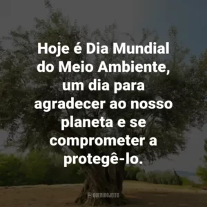 Hoje é Dia Mundial do Meio Ambiente, um dia para agradecer ao nosso planeta e se comprometer a protegê-lo.