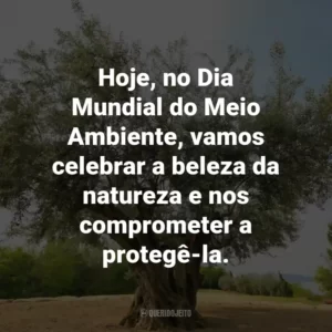 Hoje, no Dia Mundial do Meio Ambiente, vamos celebrar a beleza da natureza e nos comprometer a protegê-la.