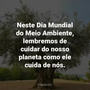 Neste Dia Mundial do Meio Ambiente, lembremos de cuidar do nosso planeta como ele cuida de nós.