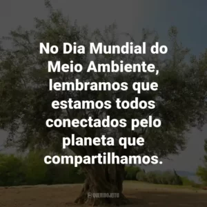 No Dia Mundial do Meio Ambiente, lembramos que estamos todos conectados pelo planeta que compartilhamos.