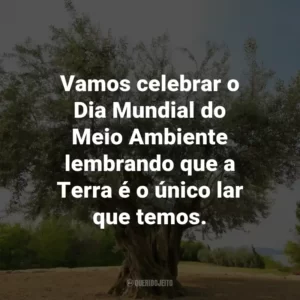 Vamos celebrar o Dia Mundial do Meio Ambiente lembrando que a Terra é o único lar que temos.