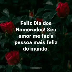 Feliz Dia dos Namorados! Seu amor me faz a pessoa mais feliz do mundo.