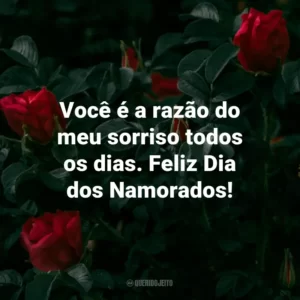 Você é a razão do meu sorriso todos os dias. Feliz Dia dos Namorados!
