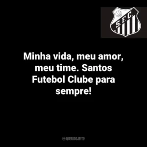 Minha vida, meu amor, meu time. Santos Futebol Clube para sempre!