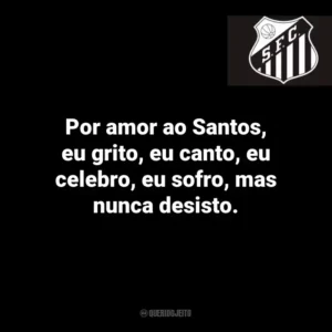 Por amor ao Santos, eu grito, eu canto, eu celebro, eu sofro, mas nunca desisto.