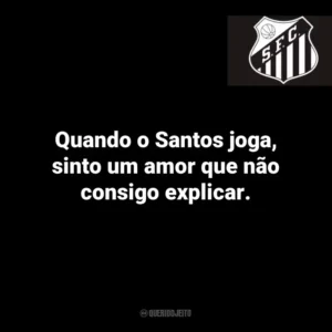Quando o Santos joga, sinto um amor que não consigo explicar.