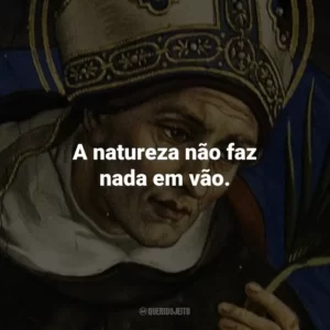 A natureza não faz nada em vão.