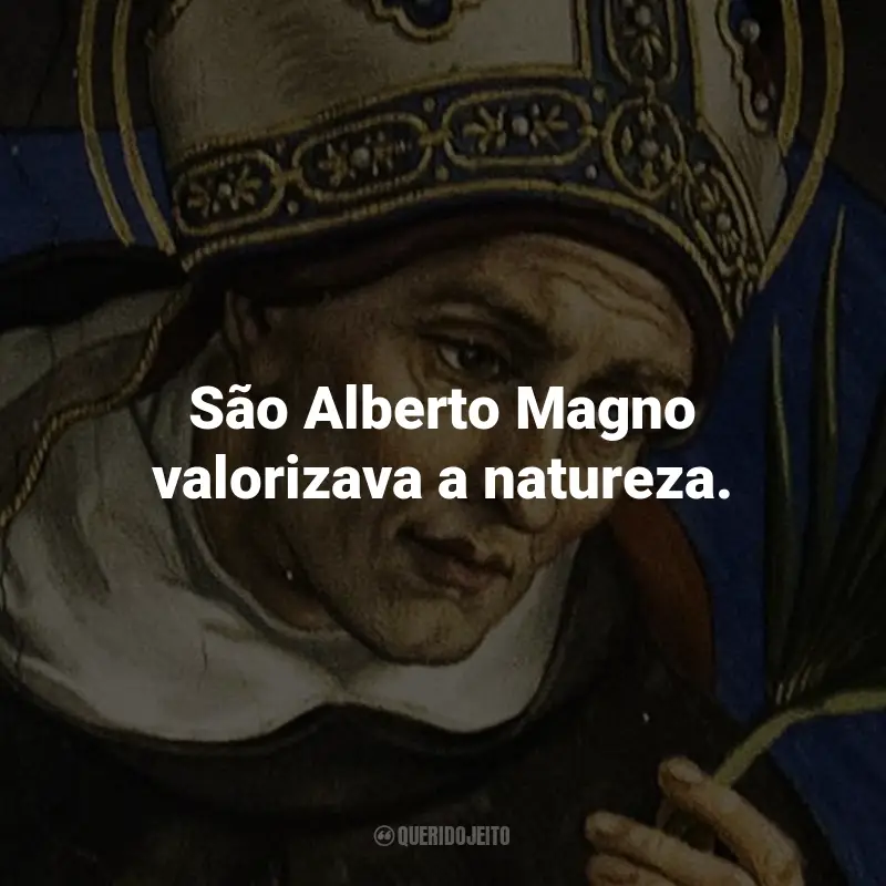 Frases de São Alberto Magno: São Alberto Magno valorizava a natureza.
