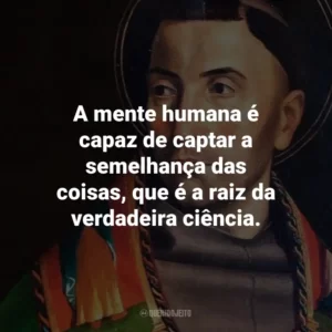 A mente humana é capaz de captar a semelhança das coisas, que é a raiz da verdadeira ciência.