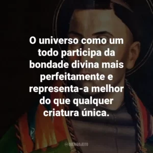 O universo como um todo participa da bondade divina mais perfeitamente e representa-a melhor do que qualquer criatura única.