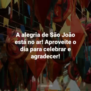 A alegria de São João está no ar! Aproveite o dia para celebrar e agradecer!