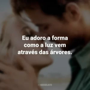 Eu adoro a forma como a luz vem através das árvores. Um Porto Seguro (Filme)