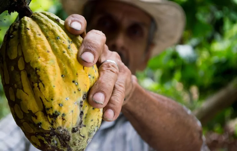 Frases para o Dia do Agricultor