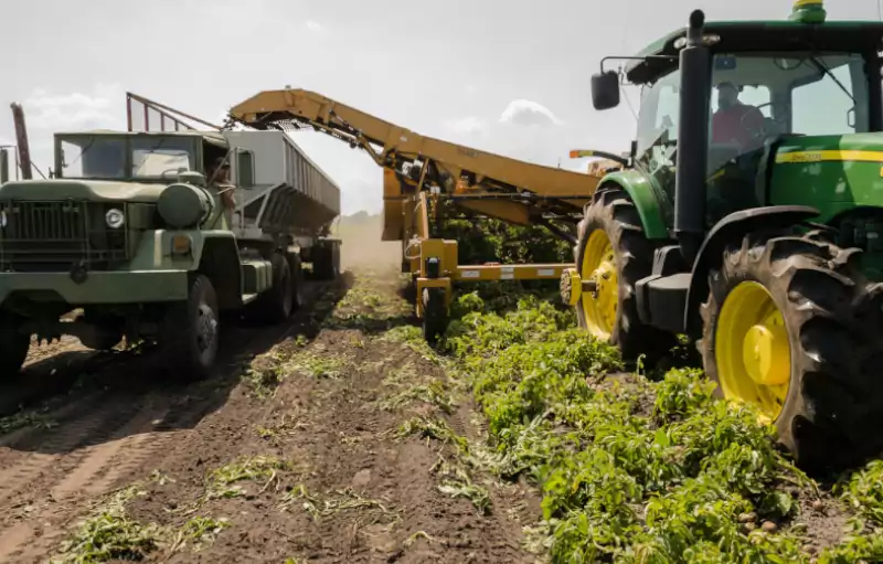 Frases para o Dia da Agricultura