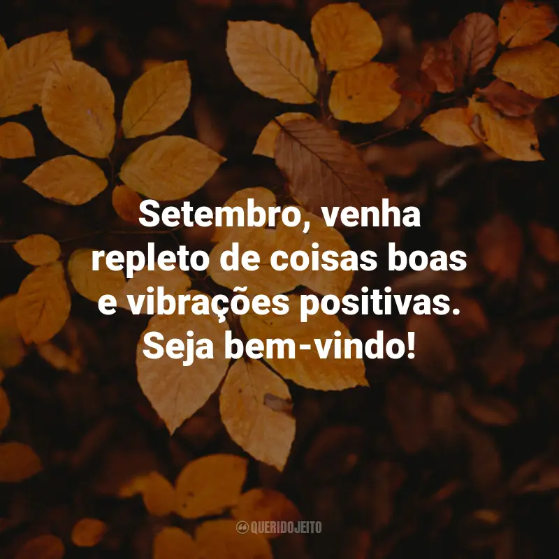 Frases de Bem-Vindo Setembro: Setembro, venha repleto de coisas boas e vibrações positivas. Seja bem-vindo!