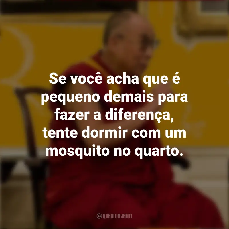 Frases do Dalai Lama: Se você acha que é pequeno demais para fazer a diferença, tente dormir com um mosquito no quarto.