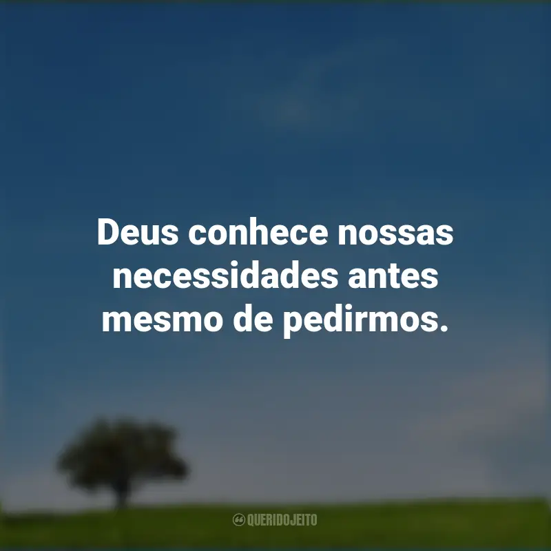 Frases de Deus: Deus conhece nossas necessidades antes mesmo de pedirmos.