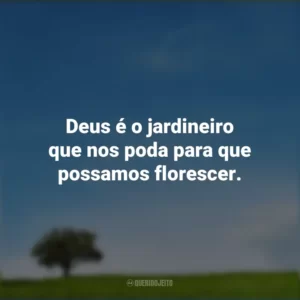 Deus é o jardineiro que nos poda para que possamos florescer.