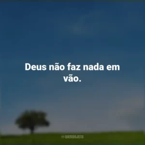 Deus não faz nada em vão.