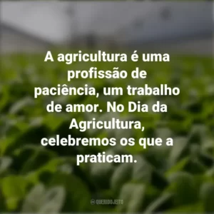 A agricultura é uma profissão de paciência, um trabalho de amor. No Dia da Agricultura, celebremos os que a praticam.