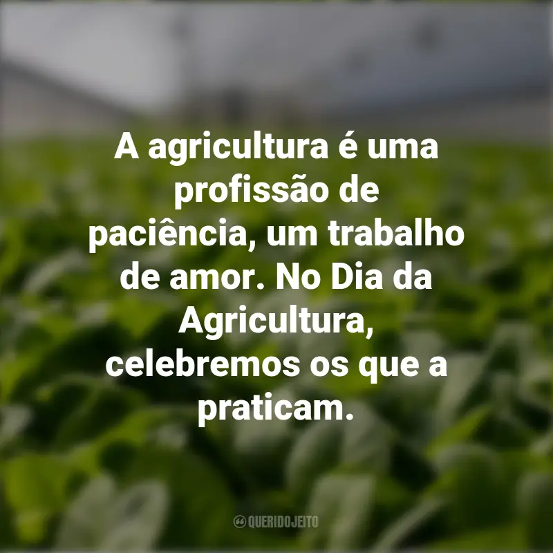 Frases do Dia da Agricultura: A agricultura é uma profissão de paciência, um trabalho de amor. No Dia da Agricultura, celebremos os que a praticam.