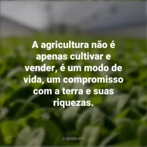 A agricultura não é apenas cultivar e vender, é um modo de vida, um compromisso com a terra e suas riquezas.
