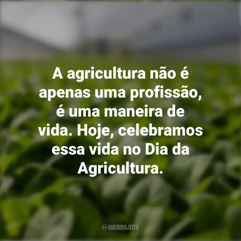 Frases para o Dia da Agricultura: A agricultura não é apenas uma profissão, é uma maneira de vida. Hoje, celebramos essa vida no Dia da Agricultura.