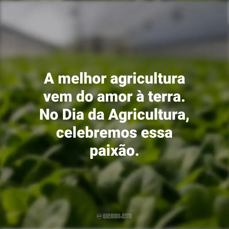 Dia da Agricultura Frases: A melhor agricultura vem do amor à terra. No Dia da Agricultura, celebremos essa paixão.