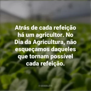 Atrás de cada refeição há um agricultor. No Dia da Agricultura, não esqueçamos daqueles que tornam possível cada refeição.