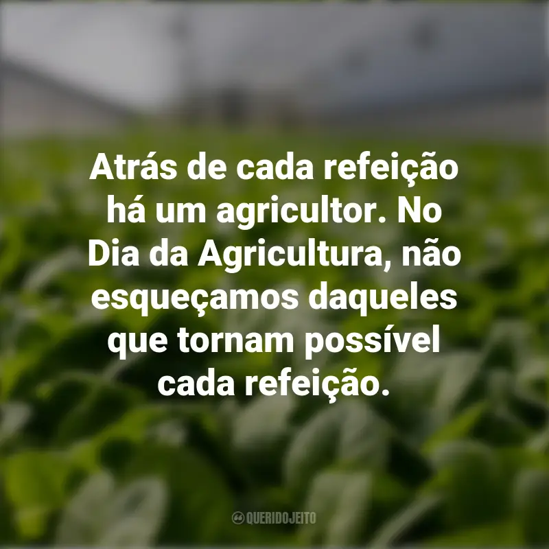 Frases Dia da Agricultura: Atrás de cada refeição há um agricultor. No Dia da Agricultura, não esqueçamos daqueles que tornam possível cada refeição.