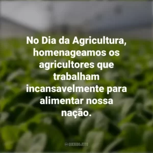 No Dia da Agricultura, homenageamos os agricultores que trabalham incansavelmente para alimentar nossa nação.