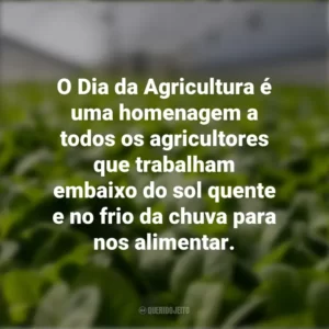 O Dia da Agricultura é uma homenagem a todos os agricultores que trabalham embaixo do sol quente e no frio da chuva para nos alimentar.