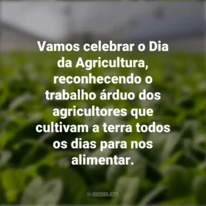 Vamos celebrar o Dia da Agricultura, reconhecendo o trabalho árduo dos agricultores que cultivam a terra todos os dias para nos alimentar.