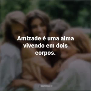 Amizade é uma alma vivendo em dois corpos. Dia da Amizade
