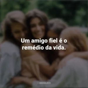 Um amigo fiel é o remédio da vida. Dia da Amizade