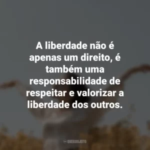A liberdade não é apenas um direito, é também uma responsabilidade de respeitar e valorizar a liberdade dos outros.