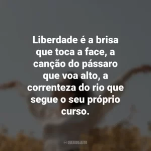Liberdade é a brisa que toca a face, a canção do pássaro que voa alto, a correnteza do rio que segue o seu próprio curso.