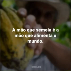 A mão que semeia é a mão que alimenta o mundo. Dia do Agricultor