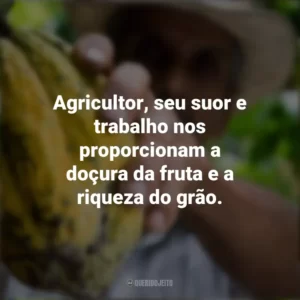 Agricultor, seu suor e trabalho nos proporcionam a doçura da fruta e a riqueza do grão. Dia do Agricultor