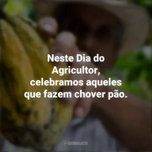 Neste Dia do Agricultor, celebramos aqueles que fazem chover pão. Dia do Agricultor