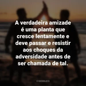 A verdadeira amizade é uma planta que cresce lentamente e deve passar e resistir aos choques da adversidade antes de ser chamada de tal. Dia do Amigo