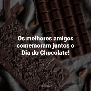 Os melhores amigos comemoram juntos o Dia do Chocolate!