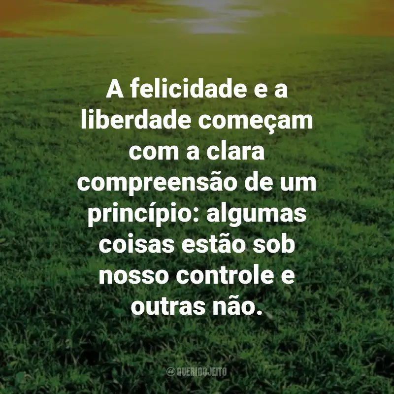 Frases Estoicas: A felicidade e a liberdade começam com a clara compreensão de um princípio: algumas coisas estão sob nosso controle e outras não. - Epicteto.