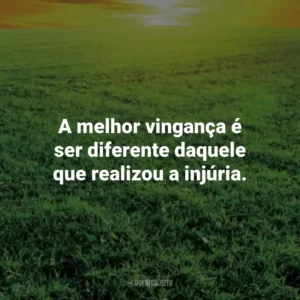A melhor vingança é ser diferente daquele que realizou a injúria. – Marco Aurélio. Frases Estoicas
